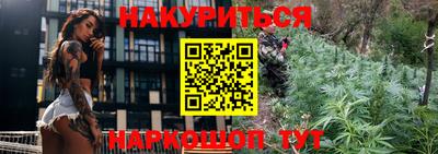 шишки Заводоуковск