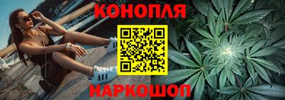 шишки Заводоуковск