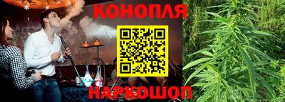 шишки Заводоуковск