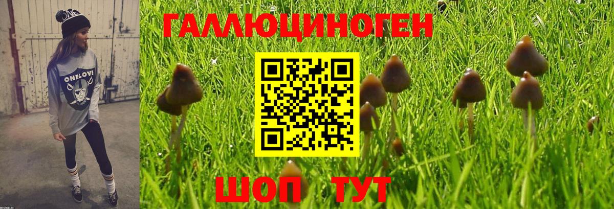 Псилоцибиновые грибы мухоморы  купить наркотик  Фролово  Вход с VPN 