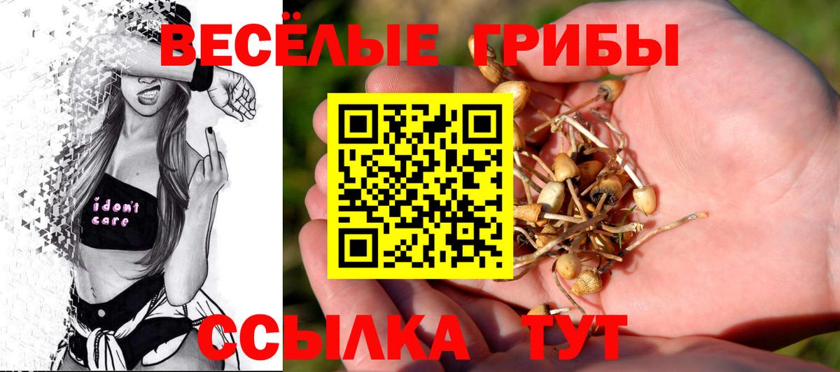 Псилоцибиновые грибы ЛСД Фролово